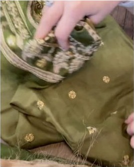 Olive fabric with gold motifs