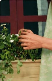 Sage lawn fabric detail