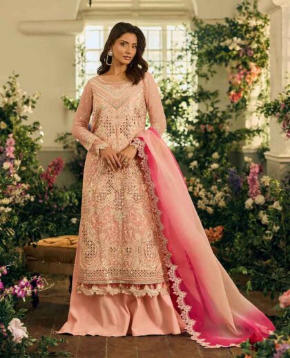 CHARIZMA CELINE Chiffon & Raw Silk Suit
